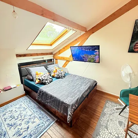 Apartamento Cosy Et Lumineux